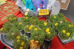 img_20220330_202507